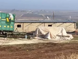 Bin çeyrek altına denk geliyor! Ahır görünümlü yapının içine giren ekipler gördüklerine inanamadı