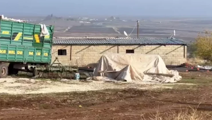 Bin çeyrek altına denk geliyor! Ahır görünümlü yapının içine giren ekipler gördüklerine inanamadı