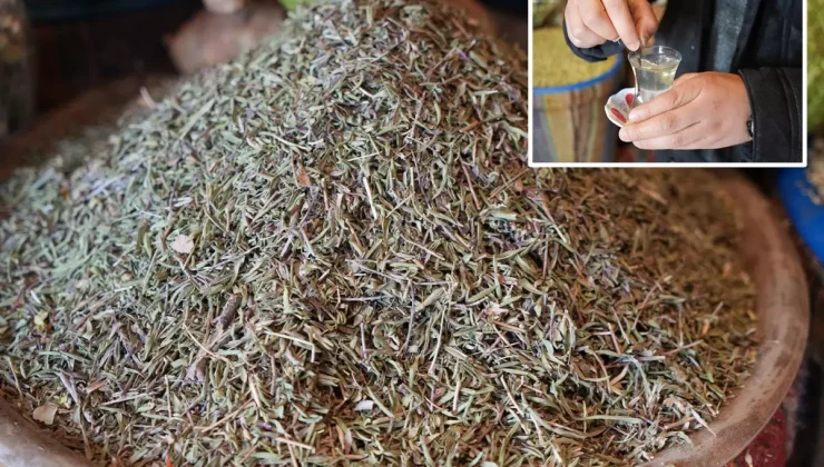 Bir tutamı yetiyor, tüm hastalıkları gelmeden geri gönderiyor