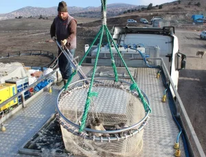 Bozkırın ortasında yetişti, Rusya ve Japonya yolcusu oldu
