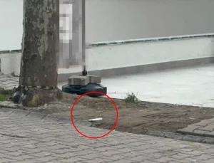 Çöpe atmak için yerden aldığı kargo poşetinin içinden 60 bin dolar çıktı