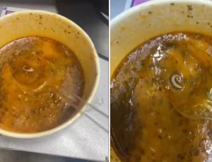 Çorbanın içinden çıkanlar mide bulandırdı