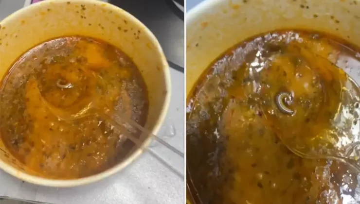 Çorbanın içinden çıkanlar mide bulandırdı