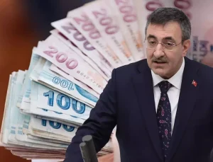 Cumhurbaşkanı Yardımcısı Yılmaz "vatandaşlık maaşı" için tarih verdi