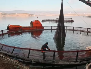 Denizi olmayan ilde üretilip Rusya ve Japonya’ya satıyor