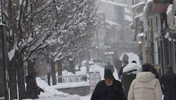 Doğu buz kesti; 2 ilçe eksi 25 dereceyi gördü