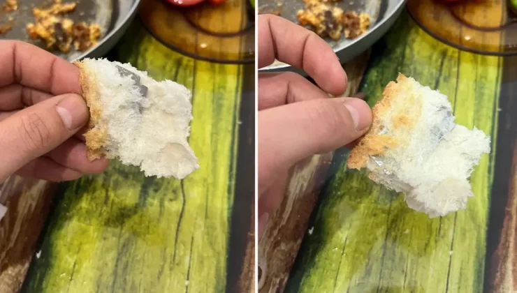 Ekmeğin içinden çıkanı görünce şok oldu