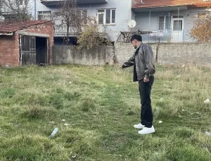 Eskişehir’de boş arazide şiddete uğradıkları değerlendirilen 8 kedi ölüsü bulundu