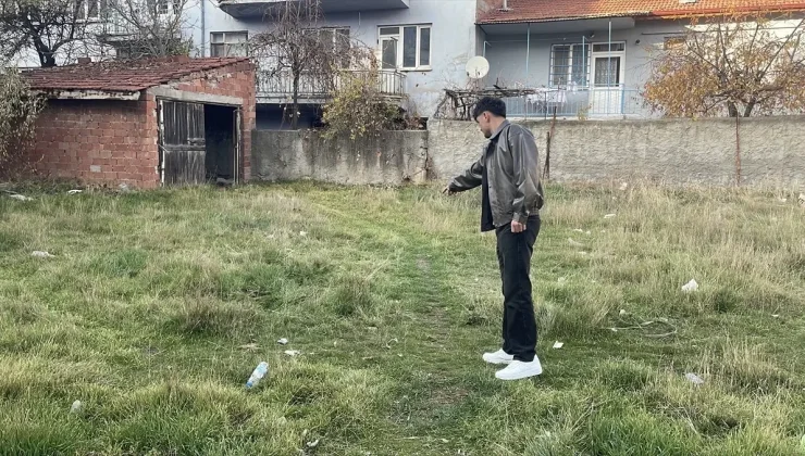 Eskişehir’de boş arazide şiddete uğradıkları değerlendirilen 8 kedi ölüsü bulundu