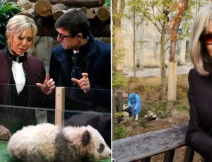 First Lady Macron, eski dostu panda ile Çin’de buluştu