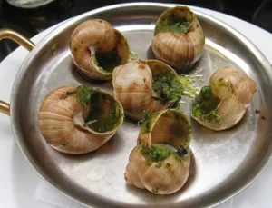 Fransa’da bir çiftlikten 4 milyon TL değerinde salyangoz çalındı