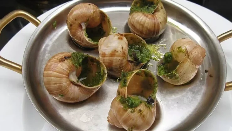 Fransa’da bir çiftlikten 4 milyon TL değerinde salyangoz çalındı