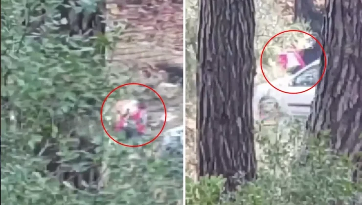 Görüntü İzmir’den! Sesleri duyup önce kayda aldı, sonra polisi aradı