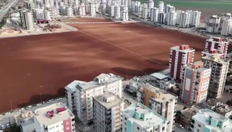 Herkes sattı, o direndi! Betonun ortasında bakın ne yapıyor