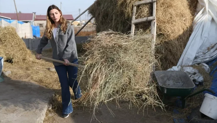 İstanbul’dan kaçıp köyüne döndü, modelistliği bırakıp çoban oldu