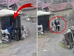 Karısını tekme, yumruk ve sopayla öldüresiye dövdü