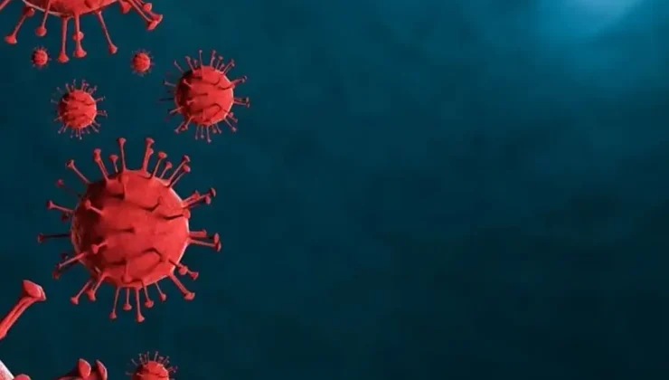 Kırgızistan’da alarm, hızla yayılan virüs eğitimi felç etti