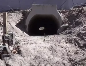 Kurbağaların rahatça çiftleşmesi için yapılan aşk tünelinde inşaat sona erdi