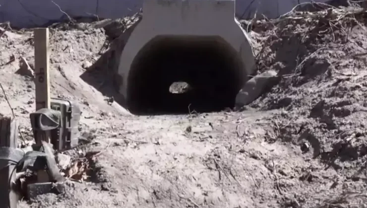 Kurbağaların rahatça çiftleşmesi için yapılan aşk tünelinde inşaat sona erdi