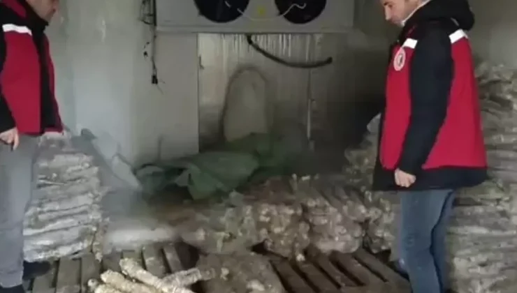 Manisa’da 4 milyon liralık bozuk kokoreç imha edildi