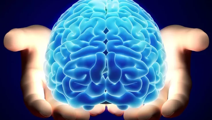 Nörologlar beyin için en zararlı 6 gıdayı açıkladı