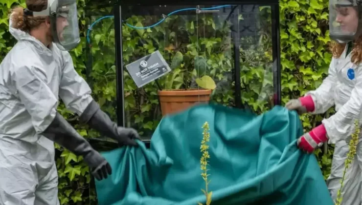 Özel güvenlik kafesinde tutuluyor, bir dokunanı intihara sürüklüyor