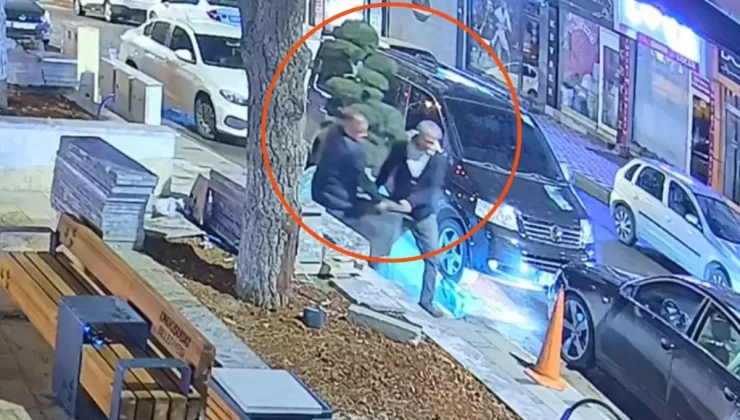 Parktaki ağacı otomobile yükleyip götürdüler