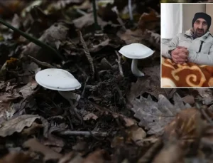 Pazardan aldığı mantardan zehirlenen adamdan uyarı