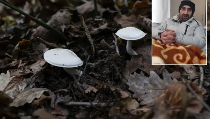 Pazardan aldığı mantardan zehirlenen adamdan uyarı