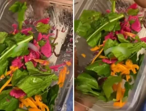 Pidecideki salatadan çıkan yok artık dedirtti