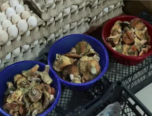 "Köy geçiren" olarak biliniyor, 5 saat içinde etkisini gösteriyor! 60 kişiyi hastanelik etti