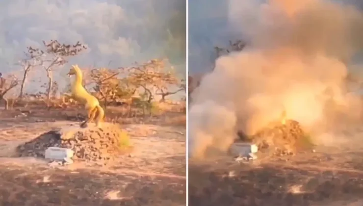 Tayland ve Kamboçya’nın çatışması, savaşa dönmek üzere! Anıtı böyle yerle bir ettiler