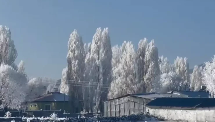 Türkiye’de en soğuk yeri! İlçe buzdan şehre döndü