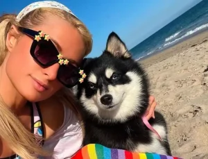 Ünlüler arasında evcil hayvan klonlama trendi yayılıyor