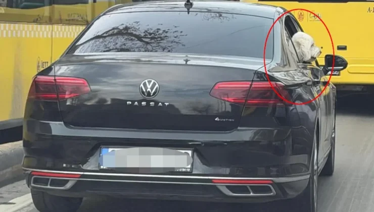 Üsküdar’da yeni başkan eski başkanın makam aracını köpeğine tahsis etti iddiası