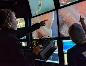 Yedi kollu ahtapot 40 yıl sonra yeniden görüntülendi