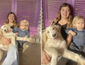 Yunanistan’da pitbull dehşeti: 2 yaşındaki çocuk hayatını kaybetti