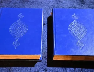 Yurt dışına kaçırılan 110 tarihi eser ana vatanına getirildi