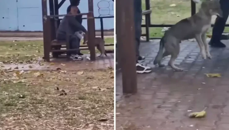 Adana’da kaydedilen görüntü "Yok artık" dedirtti