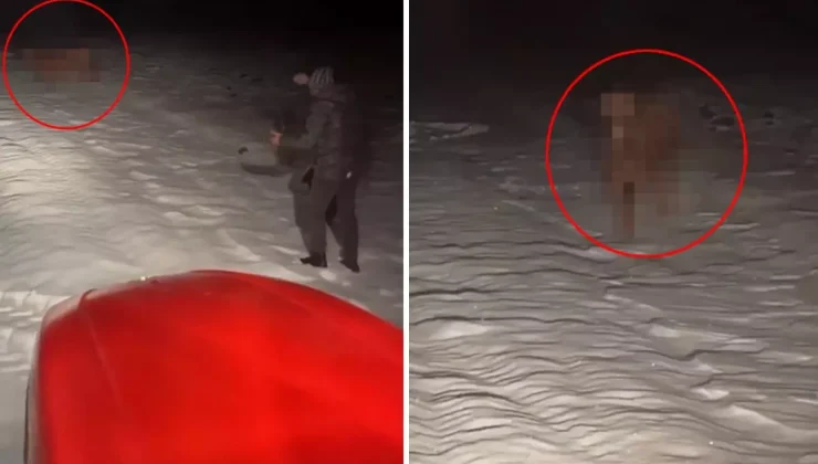 Bütün köyü seferber eden olay: Gece yarısı traktörlerle peşine düştüler