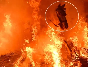 Film sahnesi değil gerçek: Atlar, alevlerin arasından böyle geçti
