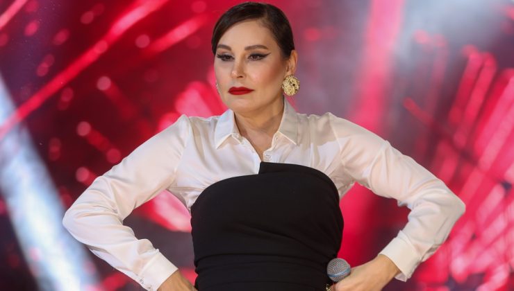 Funda Arar: Yeşil pasaport bize yetmez