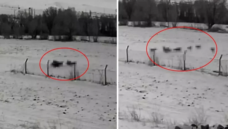 Görüntü Türkiye’den: Gündüz vakti baskın yaptılar, vatandaşlar korku içinde