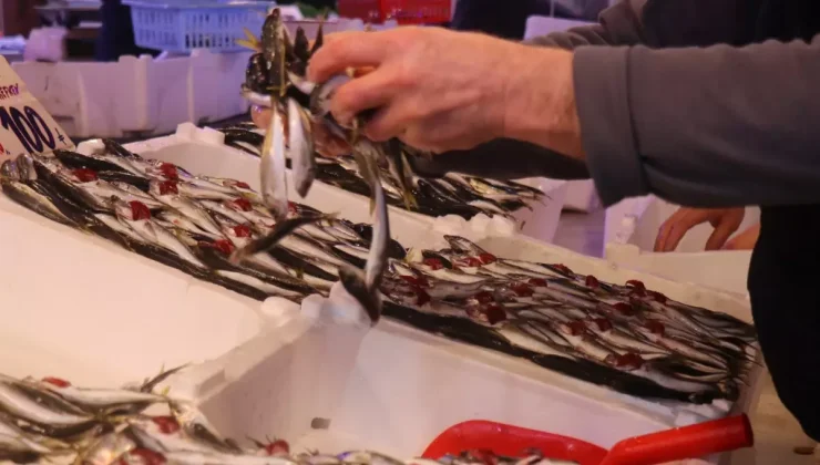 Hamsinin yokluğunu kapattı, fiyatı dibi gördü! Tezgahın en ucuzu