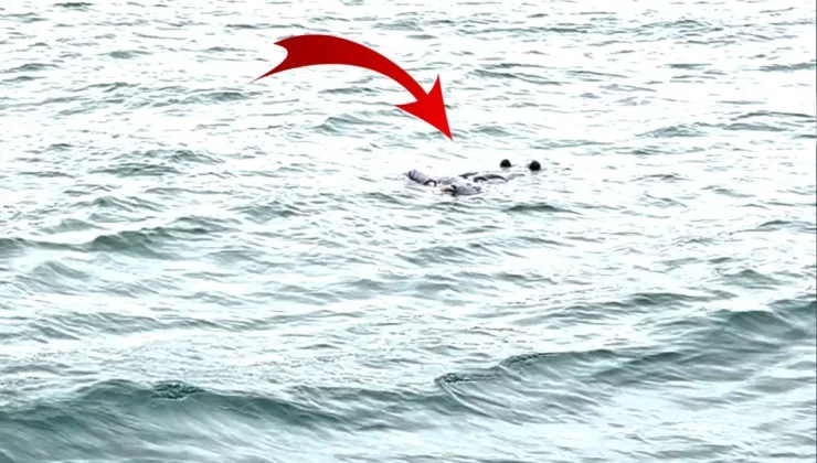 İstanbul Boğazı’nda kan donduran görüntü