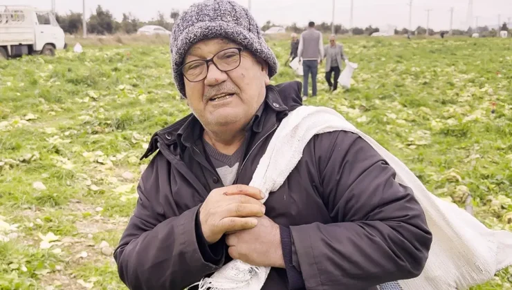 İsyan edip tüm ekini bedava dağıttı, duyan çuval çuval topladı! Bir günde bitti