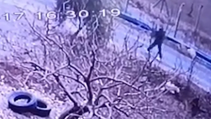 Kendisine doğru koşan köpeği tüfekle vurup öldürdü