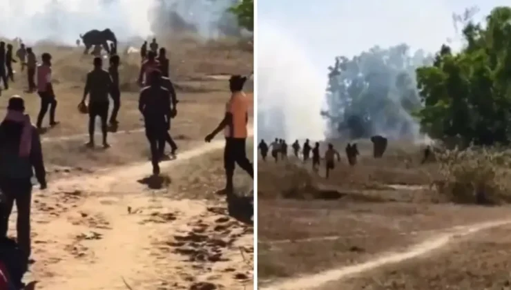 Kontrolden çıkan fil, 22 kişiyi öldürdü: Köylüler çatı ve ağaçlarda uyuyor