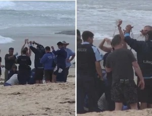 Köpekbalığı sörfçüyü ağır yaraladı! Deniz kırmızıya boyandı