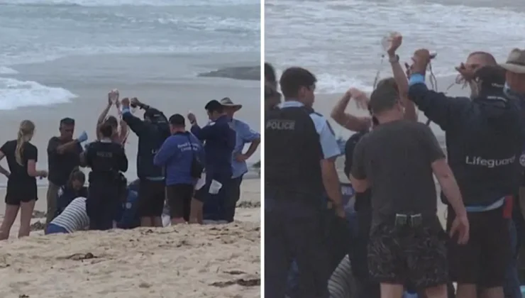 Köpekbalığı sörfçüyü ağır yaraladı! Deniz kırmızıya boyandı